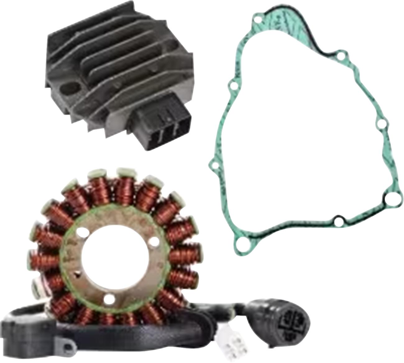 RICK'S MOTORSPORT ELECTRIC Charging Kit