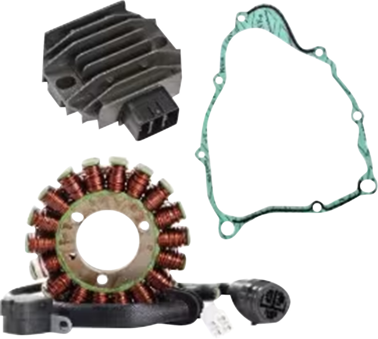 RICK'S MOTORSPORT ELECTRIC Charging Kit