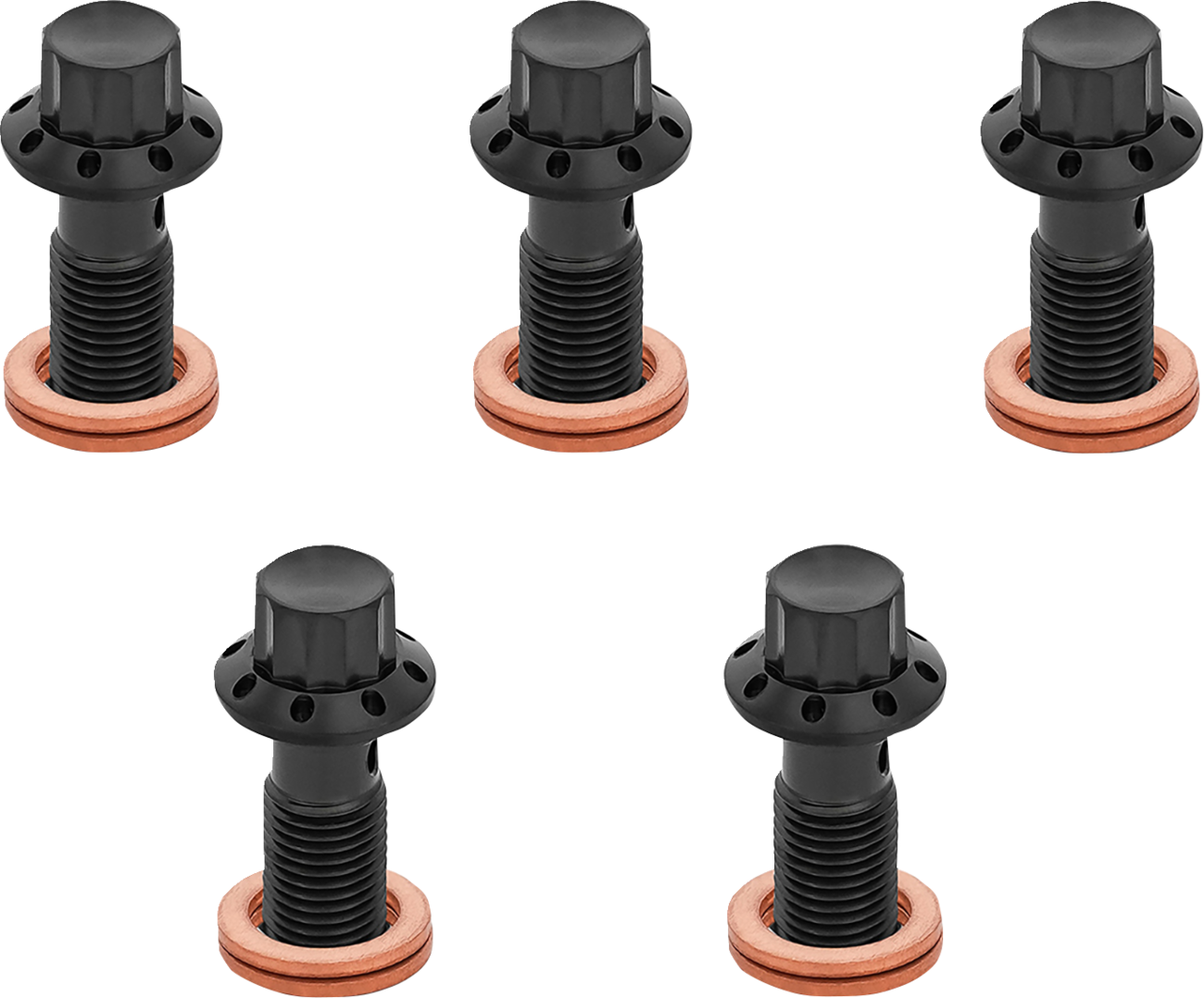 ARLEN NESS Titanium 12-Point Banjo Bolt