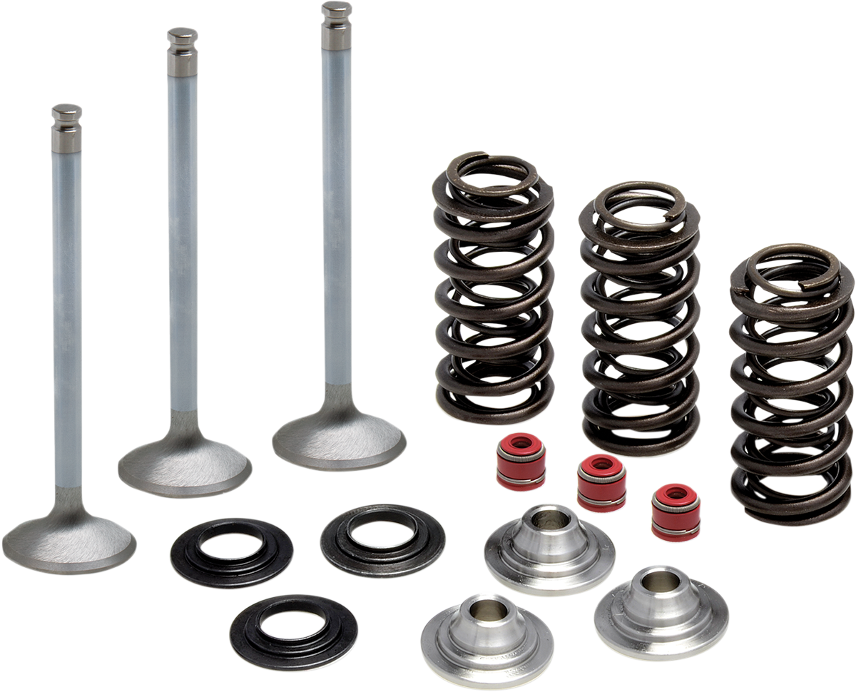 Stainless Steel Conversion Valve and Spring Kit