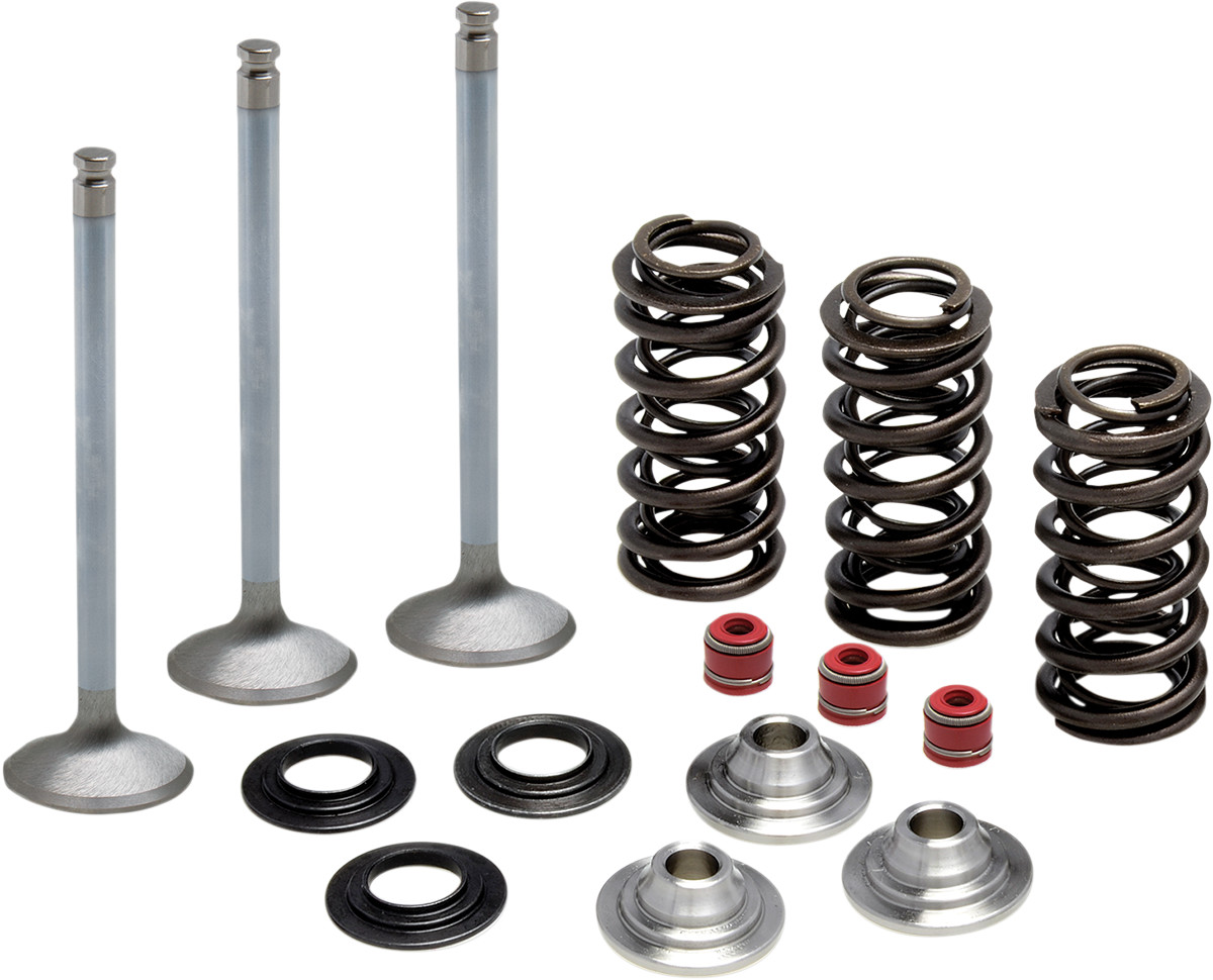 KIBBLEWHITE Intake Stainless Conversion Valve and Spring Kit