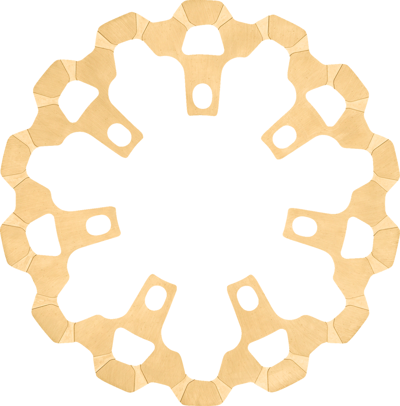 Front Brake Rotor