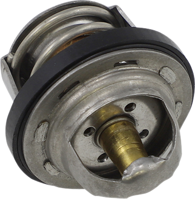 ALL BALLS Replacement Thermostat - Polaris
