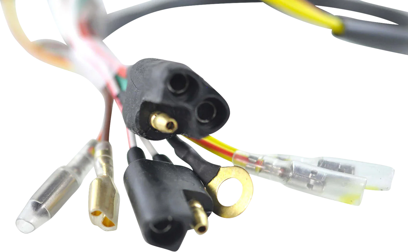 Rm stator Stator and Flywheel Kit - Polaris