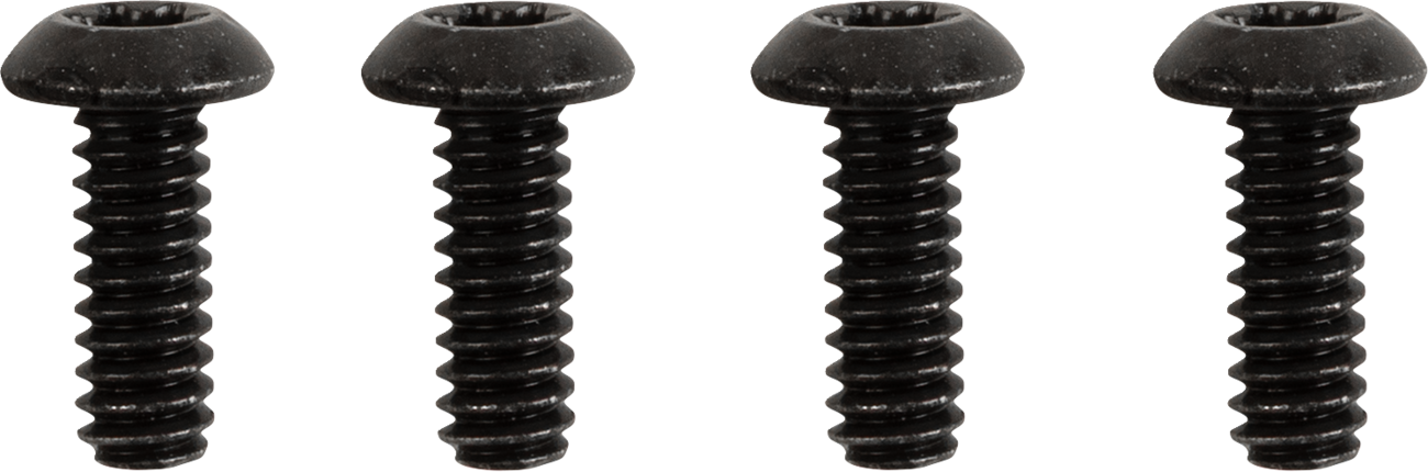 Drag Specialties Switch Housing Screw Kit