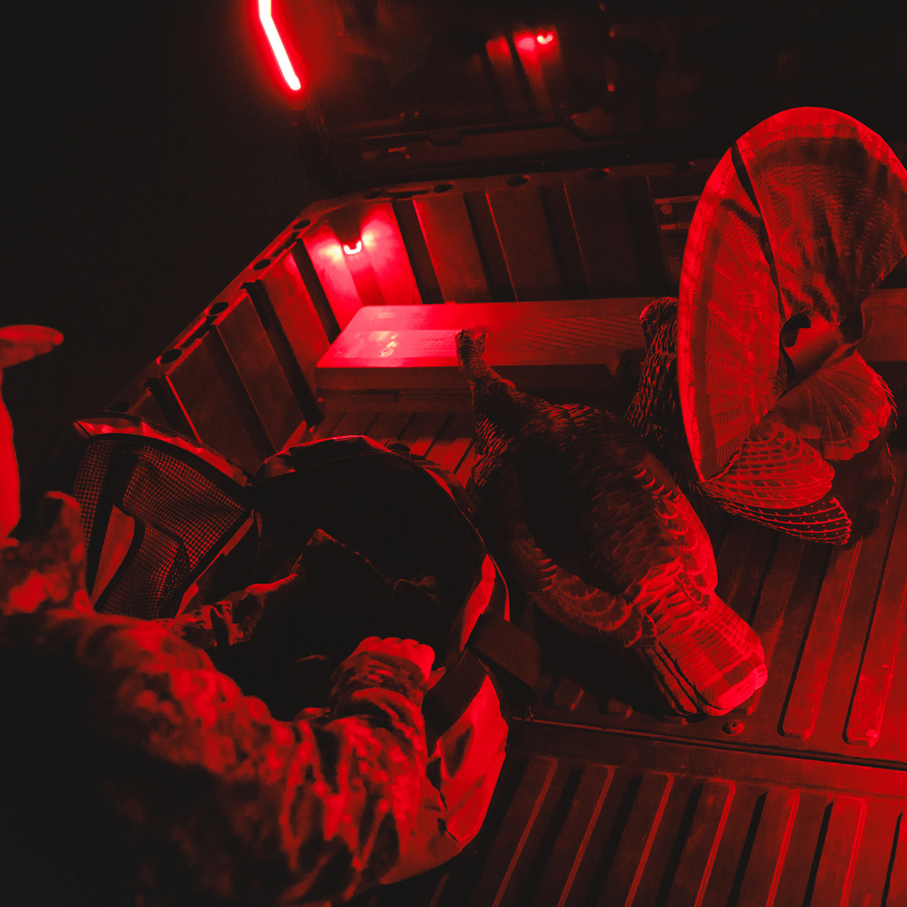 Ravek Trunk Bed Light - Red Can-Am/Polaris