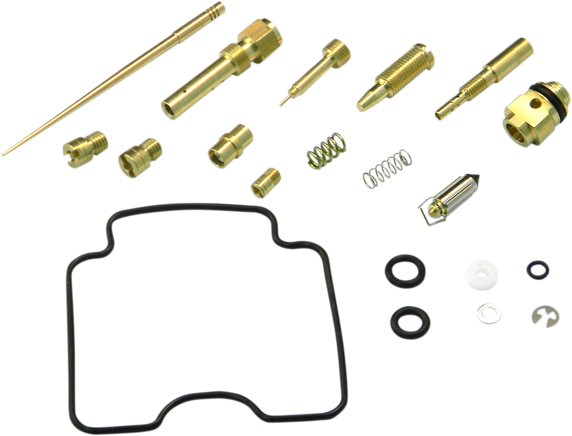 Carburetor Repair Kit
