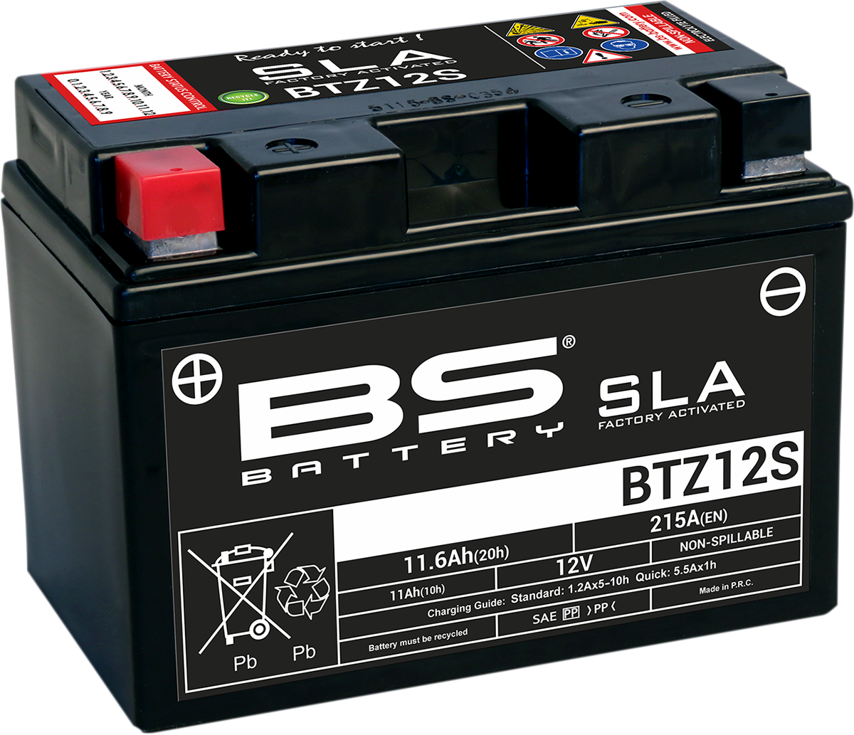 SLA Factory- Activated AGM Maintenance-Free Battery