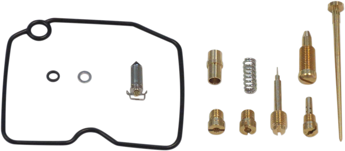 Carburetor Repair Kit
