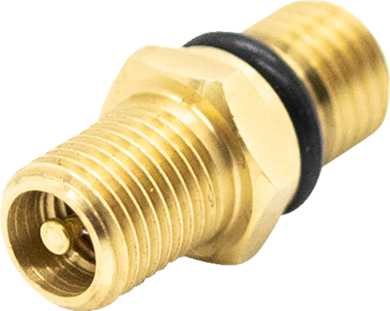 Schrader Valve Assembly