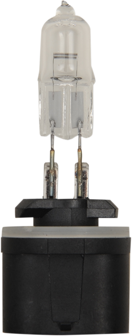 Halogen Bulb
