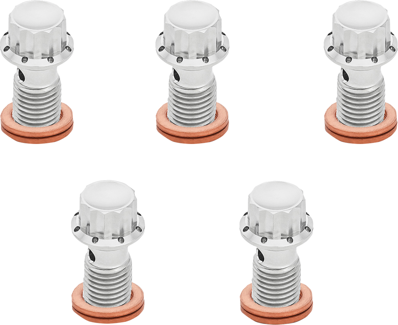 ARLEN NESS Titanium 12-Point Banjo Bolt