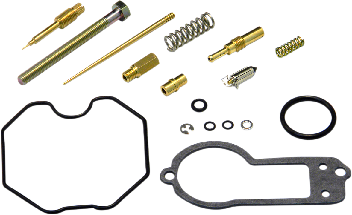 Carburetor Repair Kit
