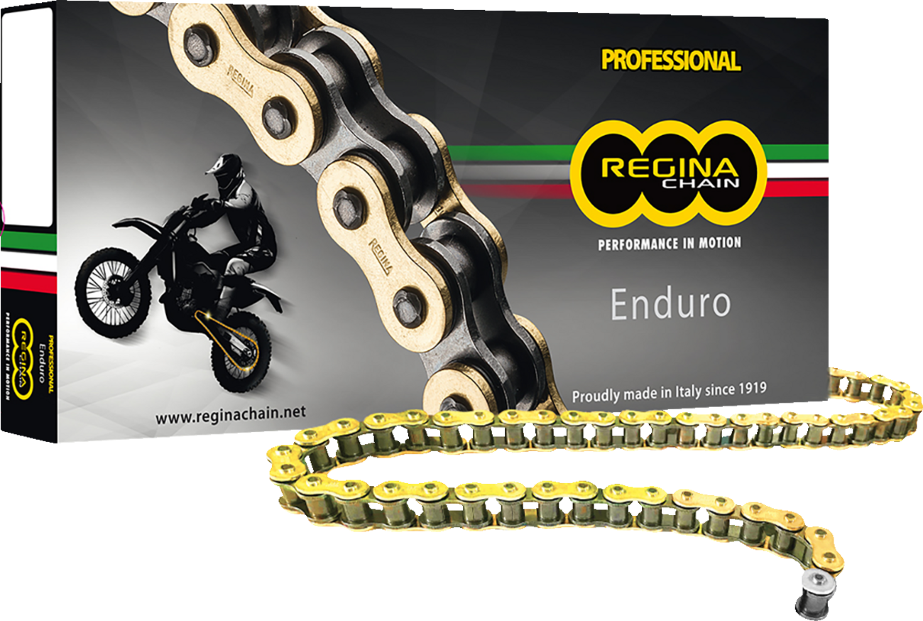 REGINA 428 ORN Series Chain