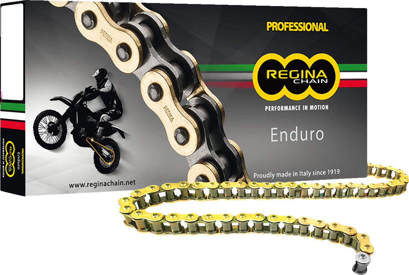 REGINA 520 ZSE Drive Chain