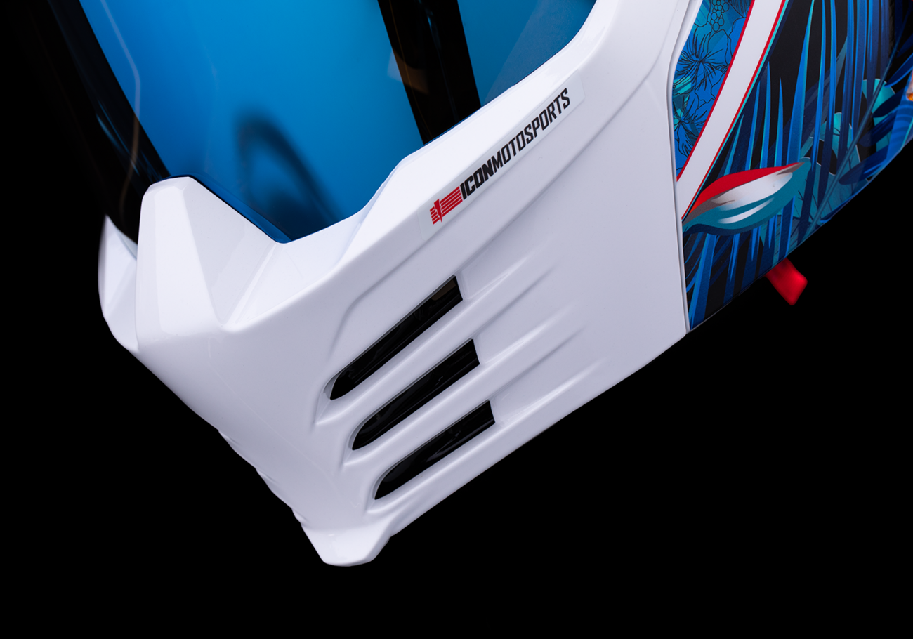 Icon Elsinore™ Kaonohi Helmet