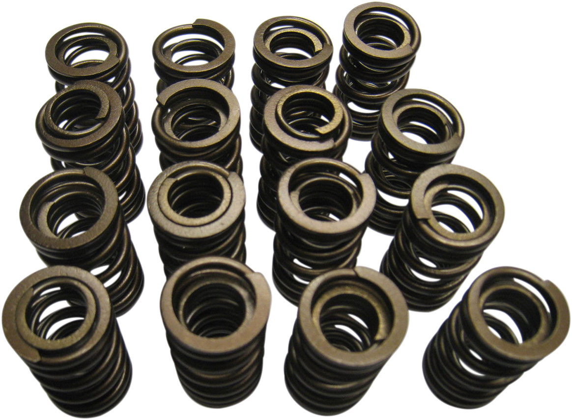 Valve Spring Kit