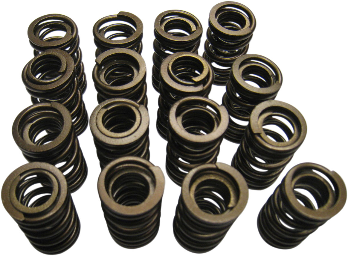 KIBBLEWHITE Valve Springs