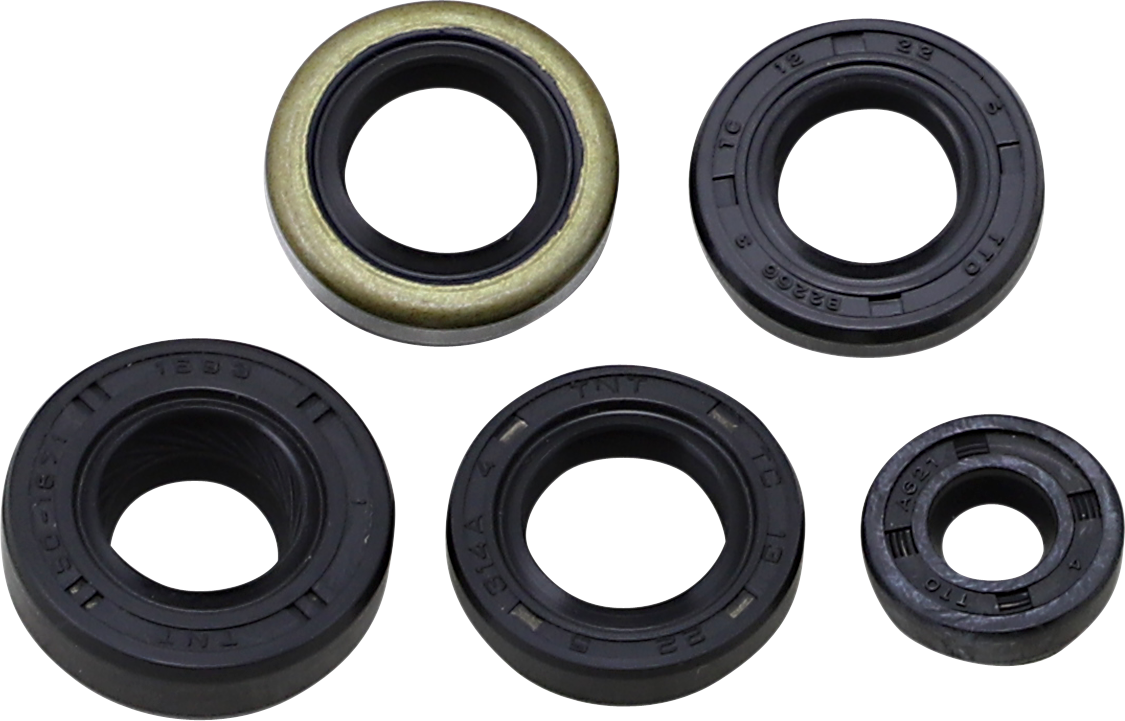 Oil Seal Kit