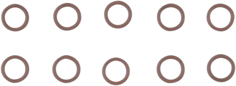 Cam Support Plate Plug O-Ring
