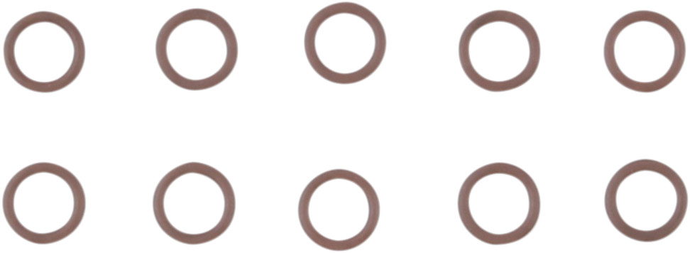 Cam Support Plate Plug O-Ring