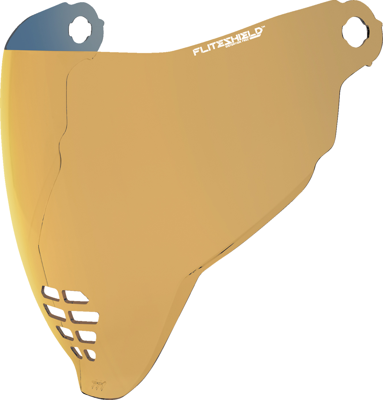 Icon FliteShield™ 22.06 Shield