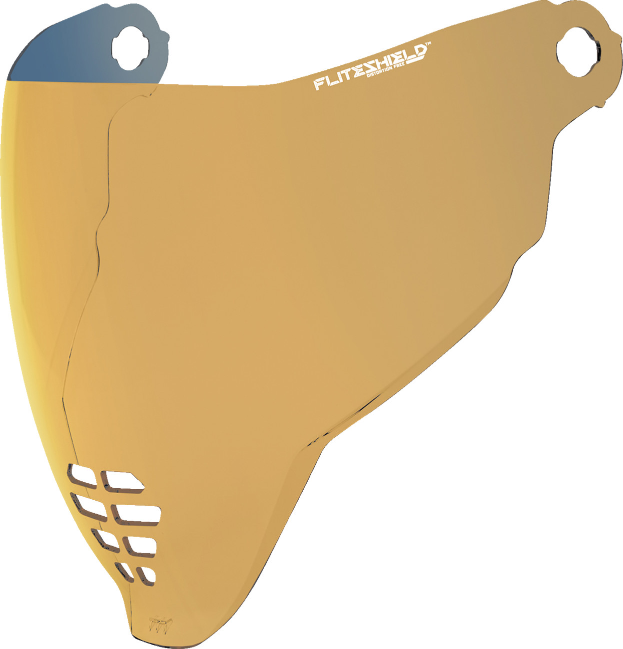 ICON FliteShield™ 22.06 Shield