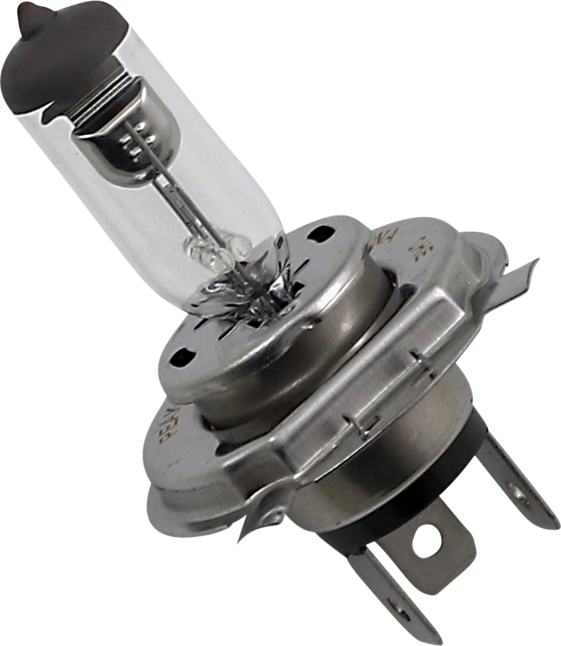 Halogen Bulb