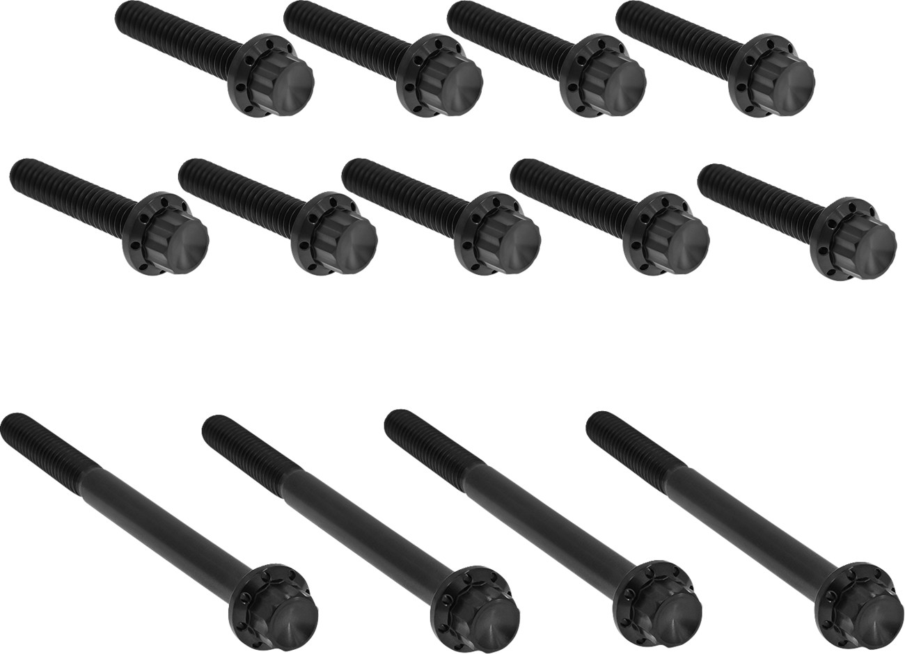 ARLEN NESS Outer Primary Cover Titanium 12-Point Bolt Kit