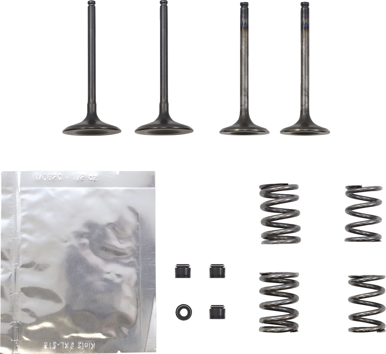 Valve Kit