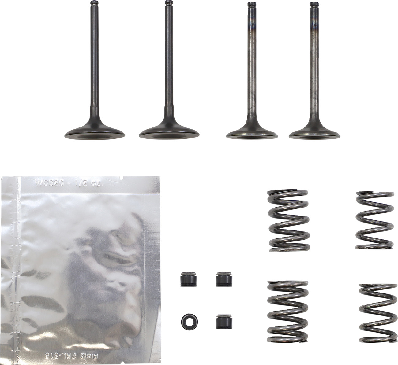 Valve Kit
