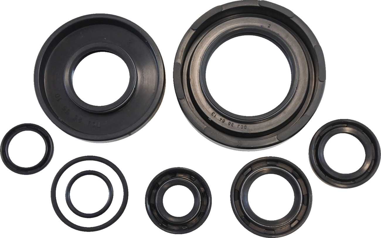 VINTCO Oil Seal Kit