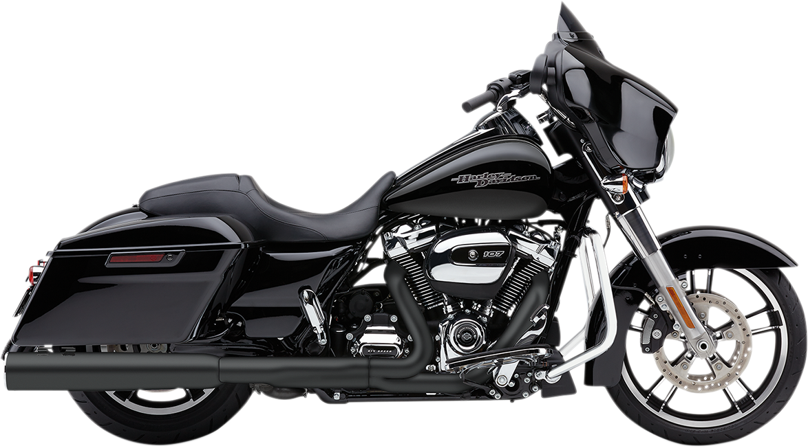 Raven Black // 3 COBRA 14-19 Harley XL883N Slip-On Exhaust with Race-Pro Tips