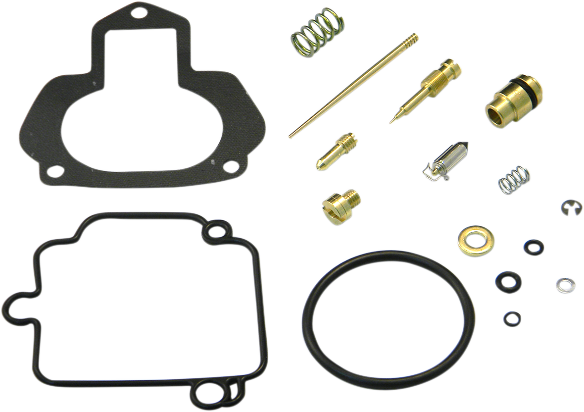 Carburetor Repair Kit