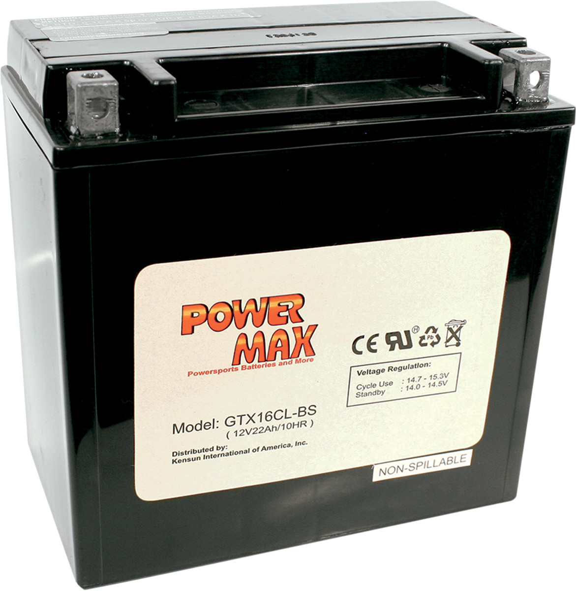 POWER MAX Maintenance-Free Battery