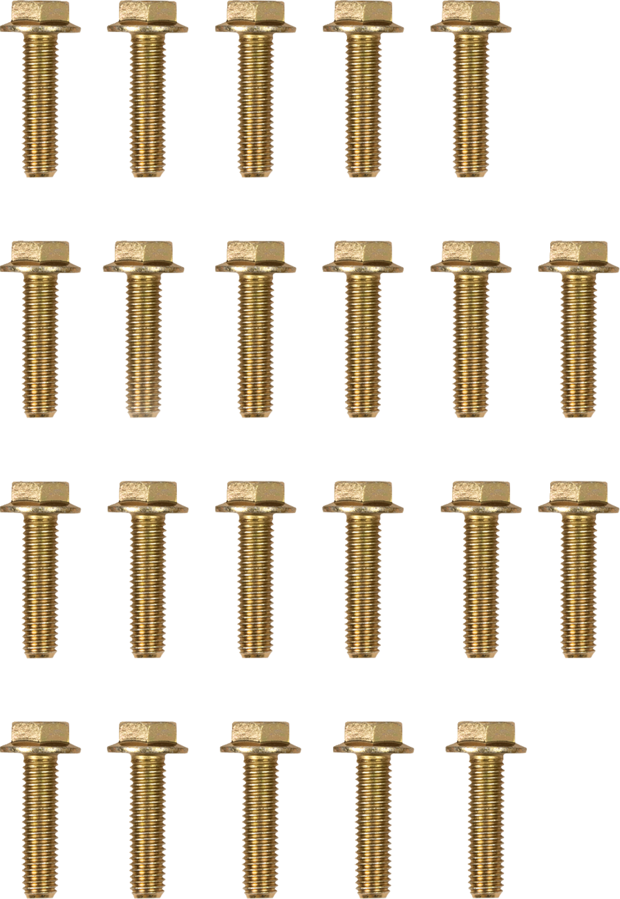 Moose offroad Beadlock Bolts - Replacement - 544X - Pack