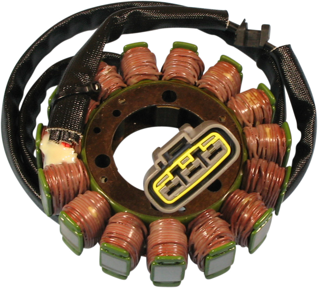 RICK'S MOTORSPORT ELECTRIC Stator