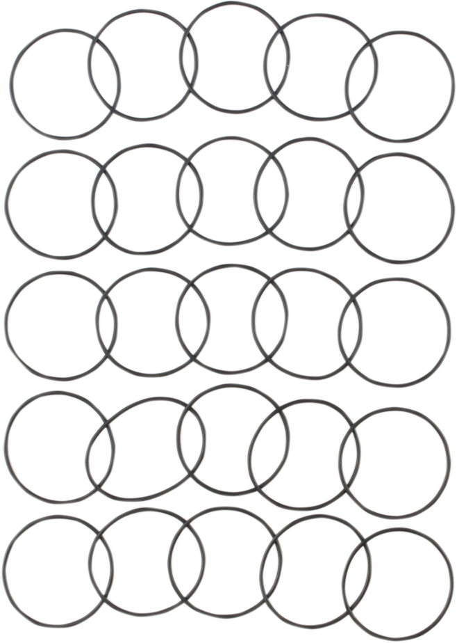 Starter O-Ring