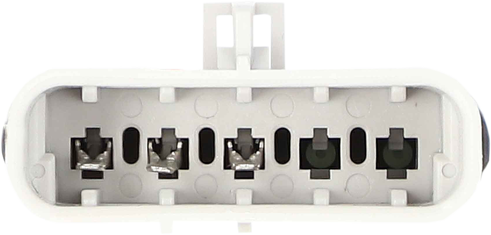 SADDLE TRAMP Power Harness