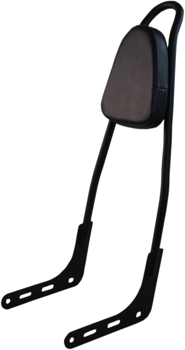 MOTHERWELL One-Piece Sissy Bar — Includes Backrest Pad, 