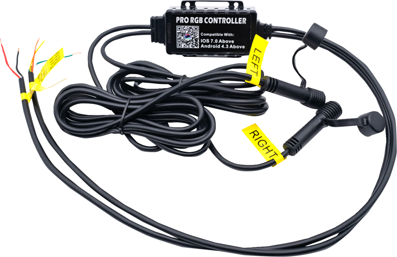 BRITE-LITES Whip Light