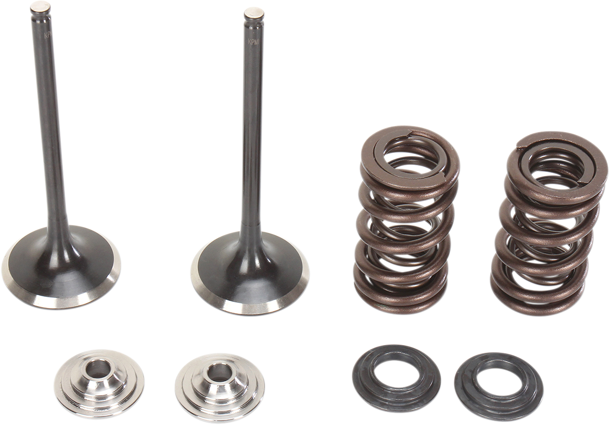 Stainless Intake Valve and Spring Kit