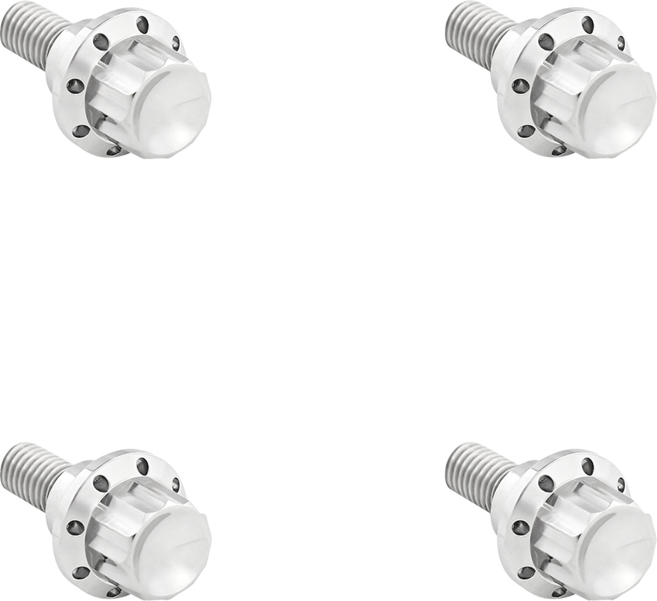 ARLEN NESS Windshield Titanium 12-Point Bolt Kit