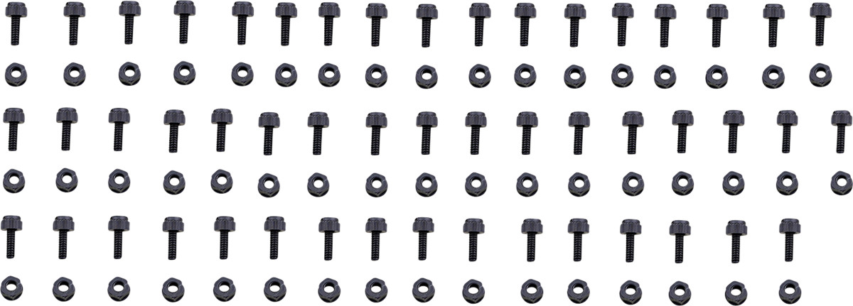BOLT License Plate Bolts/Nuts