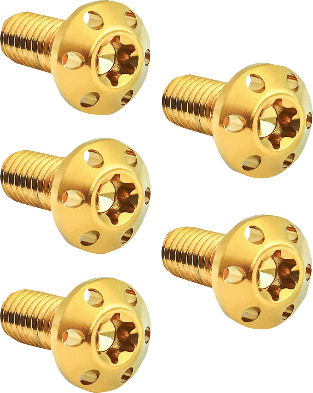 ARLEN NESS (300-911) BOLT KIT ROTOR REAR HOLESHOT 5 PACK HUB MOUNT, GOLD