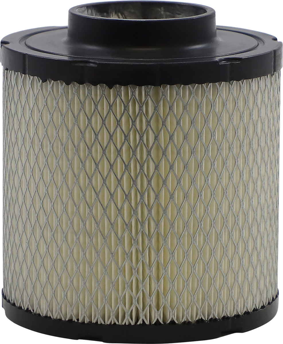 All balls Replacement Air Filter - Polaris