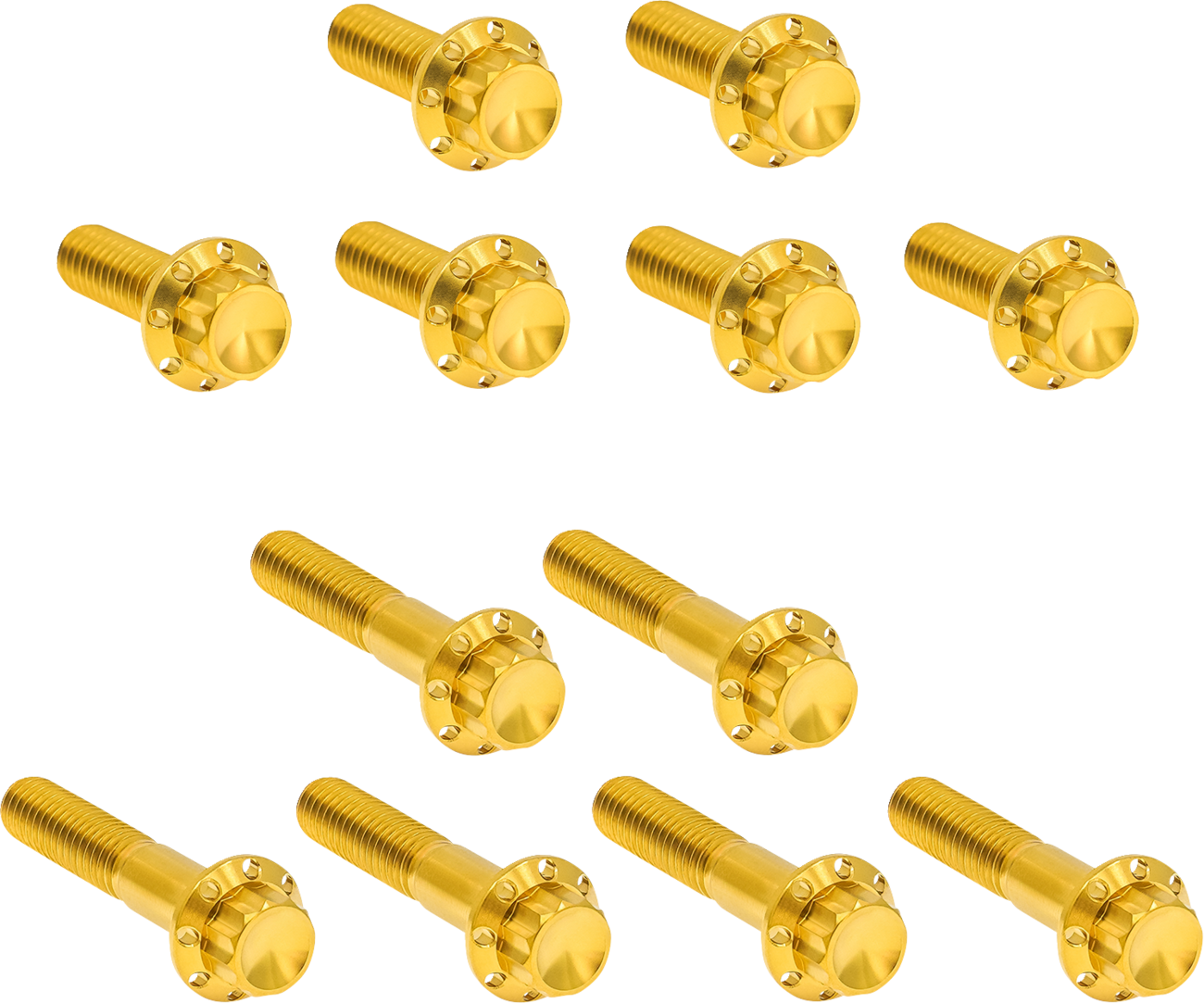 ARLEN NESS Rocker Box 12-Point Titanium Bolt Kit