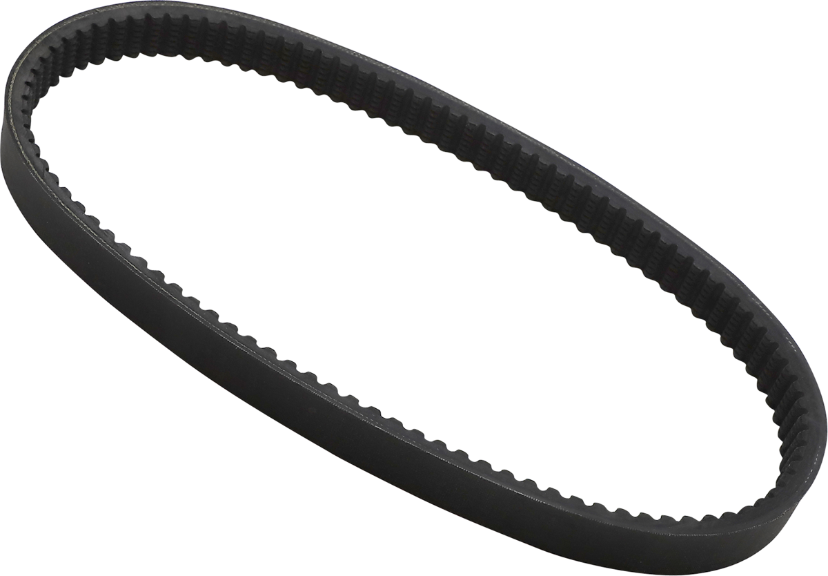 Dayco products,llc Drive Belt Polaris