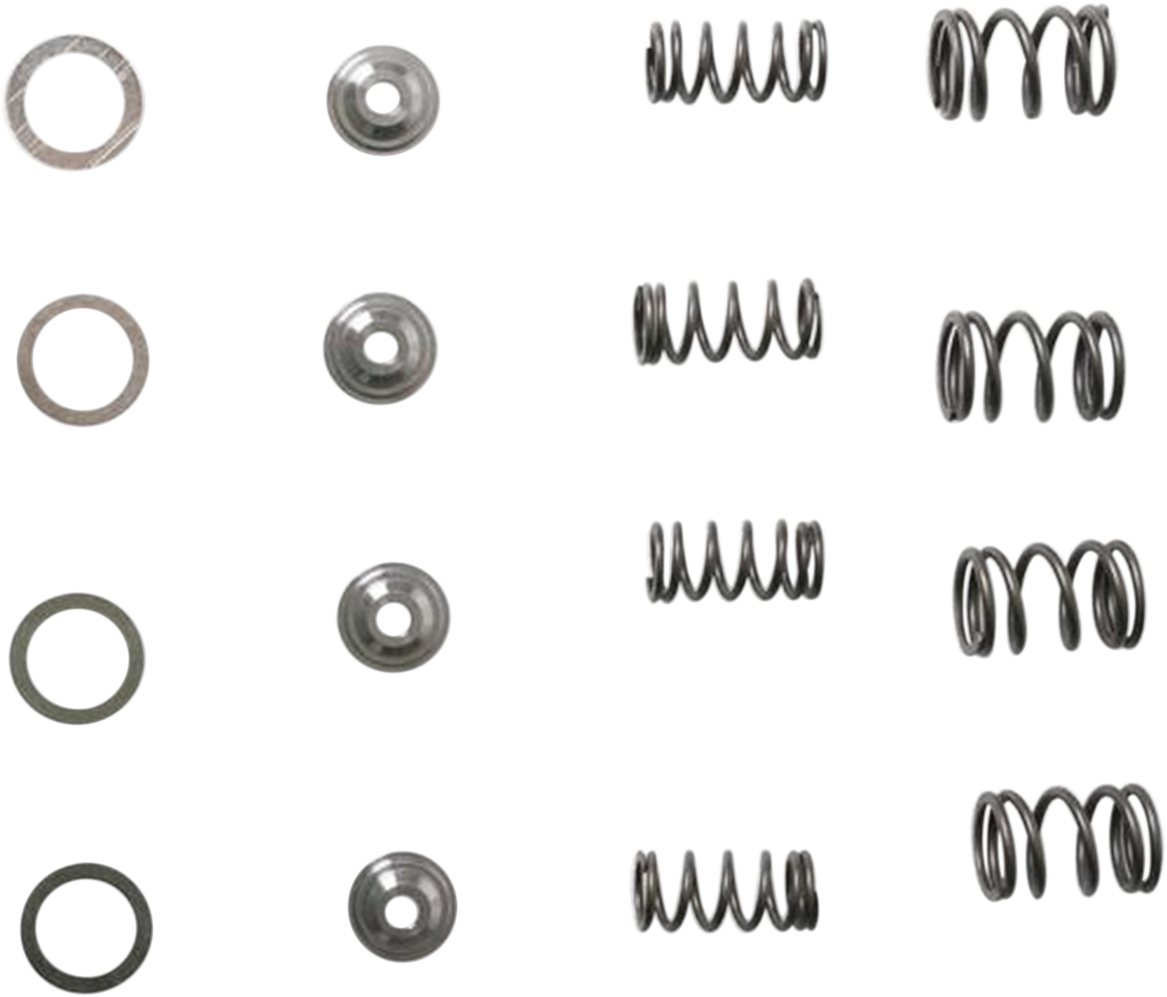 Valve Spring Kit