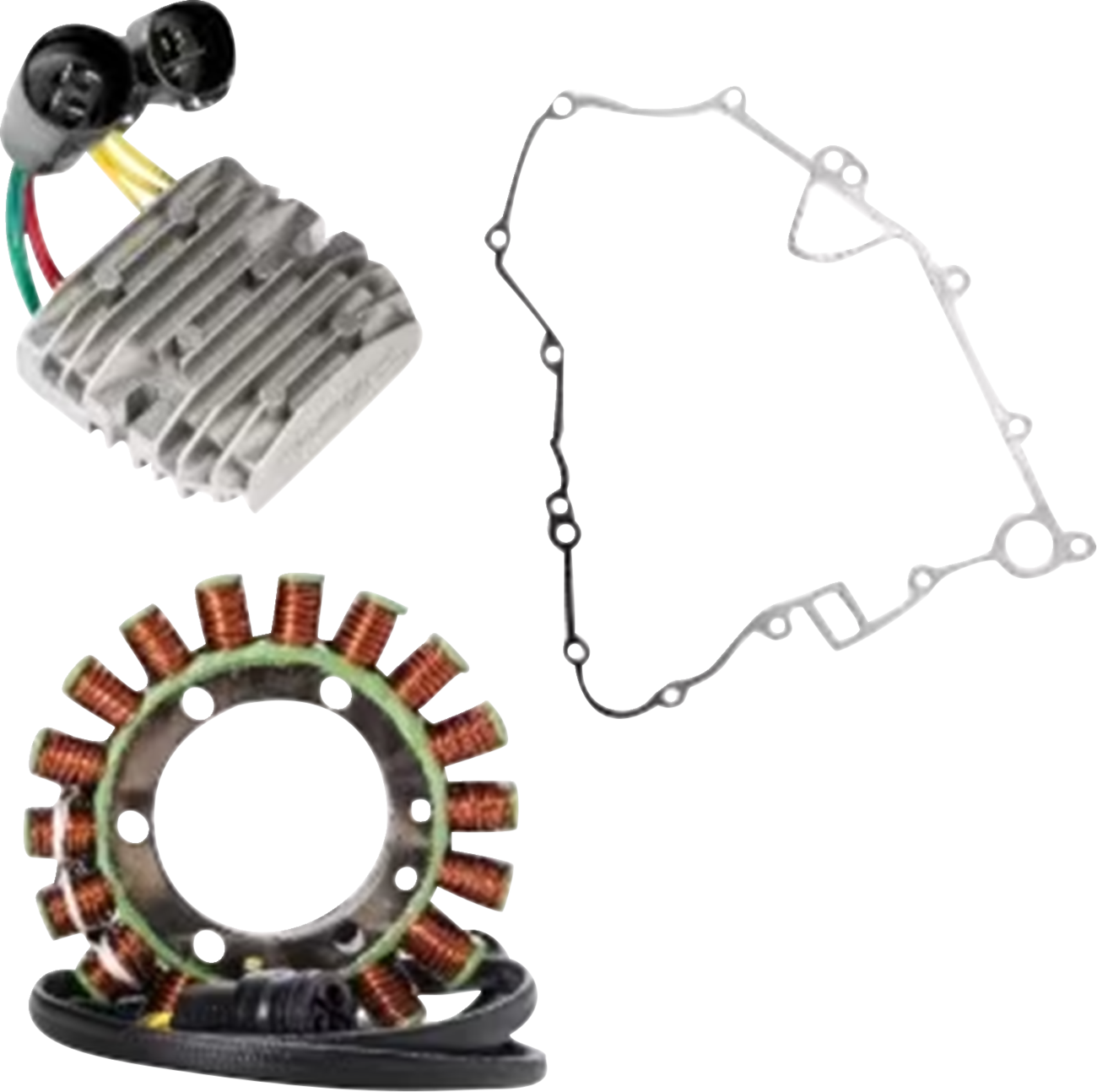 RICK'S MOTORSPORT ELECTRIC Charging Kit